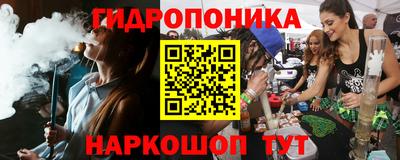 ECSTASY Камышлов