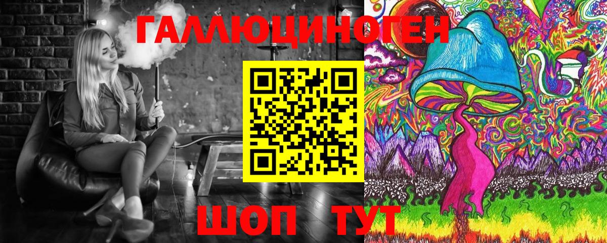 Камышлов  Псилоцибиновые грибы прущие грибы  Вход с VPN 